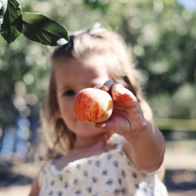 Sunshine & Apple Pickin’