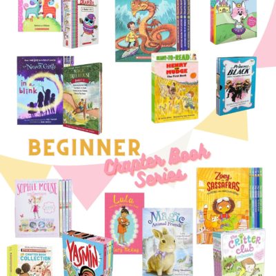 Beginner Chapter Book Series